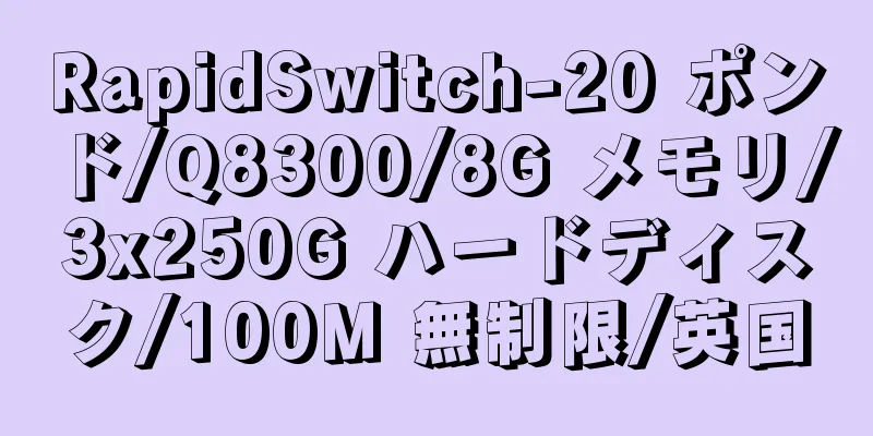 RapidSwitch-20 ポンド/Q8300/8G メモリ/3x250G ハードディスク/100M 無制限/英国