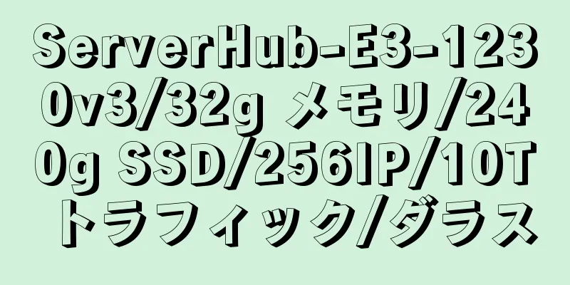 ServerHub-E3-1230v3/32g メモリ/240g SSD/256IP/10T トラフィック/ダラス