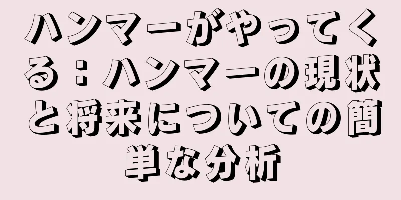 ハンマーがやってくる：ハンマーの現状と将来についての簡単な分析