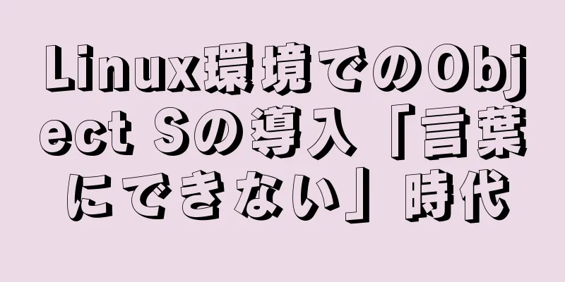 Linux環境でのObject Sの導入「言葉にできない」時代