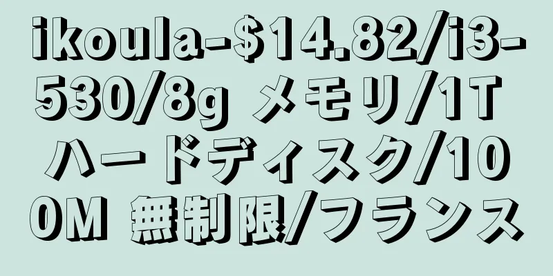 ikoula-$14.82/i3-530/8g メモリ/1T ハードディスク/100M 無制限/フランス