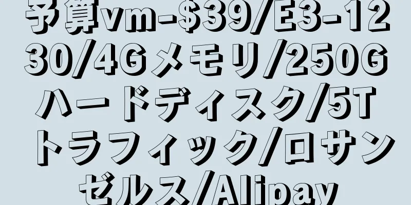 予算vm-$39/E3-1230/4Gメモリ/250Gハードディスク/5Tトラフィック/ロサンゼルス/Alipay