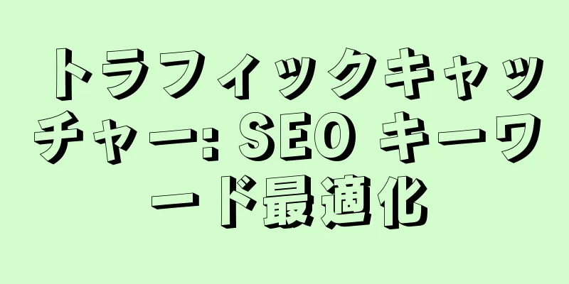 トラフィックキャッチャー: SEO キーワード最適化