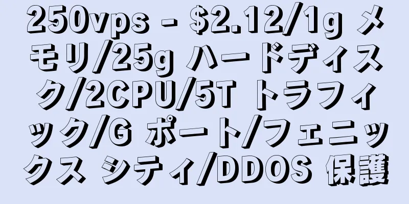 250vps - $2.12/1g メモリ/25g ハードディスク/2CPU/5T トラフィック/G ポート/フェニックス シティ/DDOS 保護