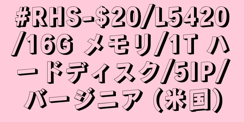 #RHS-$20/L5420/16G メモリ/1T ハードディスク/5IP/バージニア (米国)