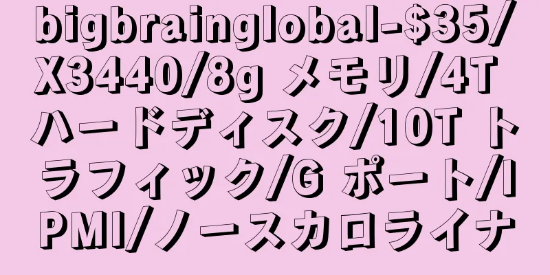 bigbrainglobal-$35/X3440/8g メモリ/4T ハードディスク/10T トラフィック/G ポート/IPMI/ノースカロライナ