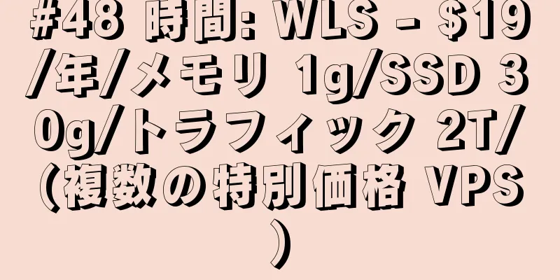#48 時間: WLS - $19/年/メモリ 1g/SSD 30g/トラフィック 2T/(複数の特別価格 VPS)