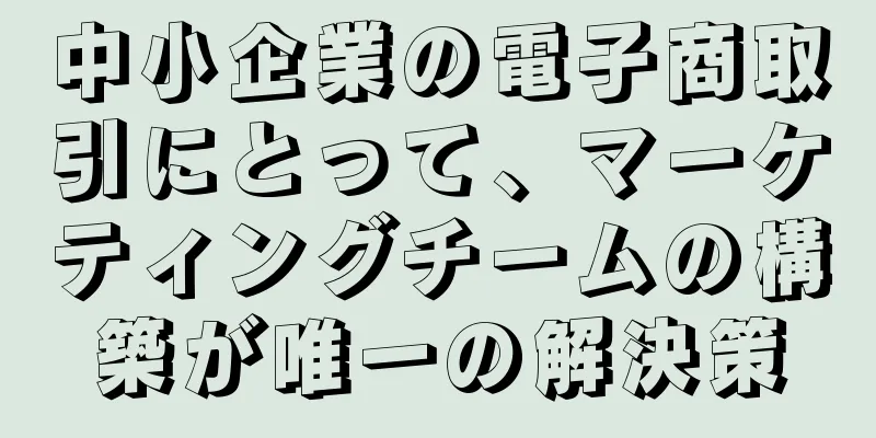 中小企業の電子商取引にとって、マーケティングチームの構築が唯一の解決策