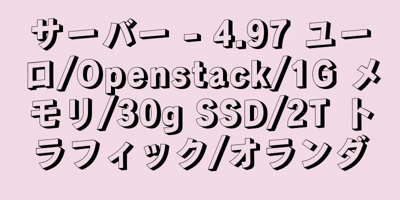 サーバー - 4.97 ユーロ/Openstack/1G メモリ/30g SSD/2T トラフィック/オランダ