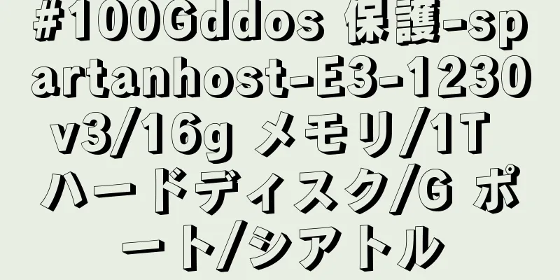 #100Gddos 保護-spartanhost-E3-1230v3/16g メモリ/1T ハードディスク/G ポート/シアトル