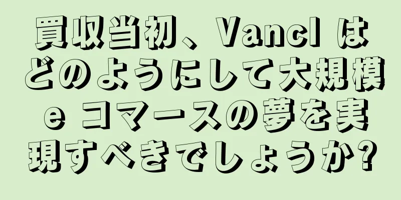買収当初、Vancl はどのようにして大規模 e コマースの夢を実現すべきでしょうか?