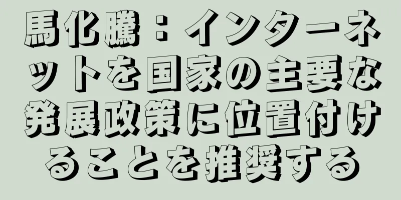 馬化騰：インターネットを国家の主要な発展政策に位置付けることを推奨する