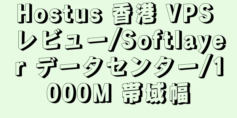 Hostus 香港 VPS レビュー/Softlayer データセンター/1000M 帯域幅