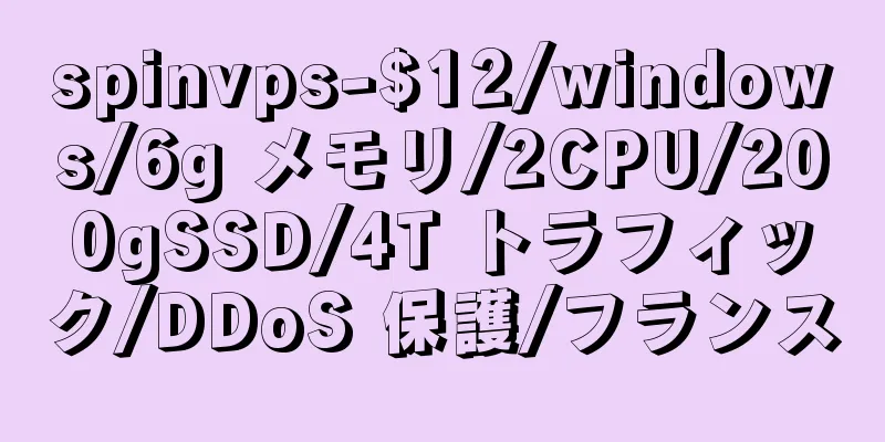 spinvps-$12/windows/6g メモリ/2CPU/200gSSD/4T トラフィック/DDoS 保護/フランス