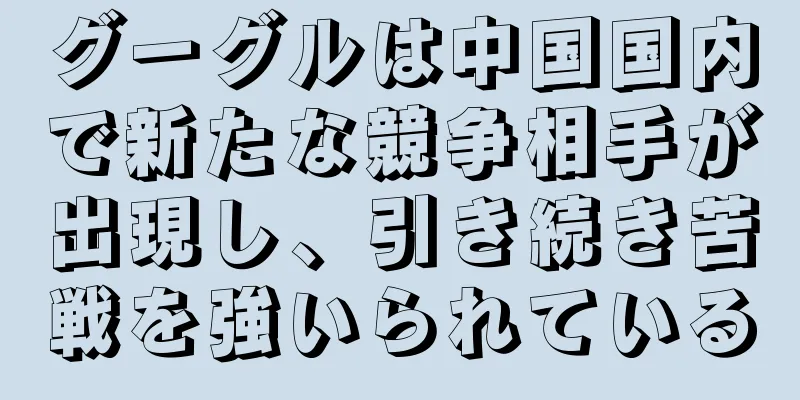 グーグルは中国国内で新たな競争相手が出現し、引き続き苦戦を強いられている