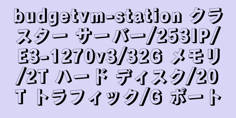 budgetvm-station クラスター サーバー/253IP/E3-1270v3/32G メモリ/2T ハード ディスク/20T トラフィック/G ポート