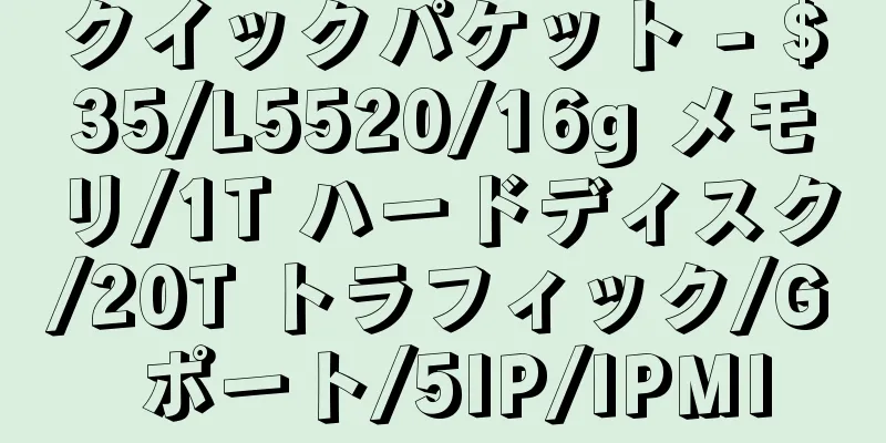 クイックパケット - $35/L5520/16g メモリ/1T ハードディスク/20T トラフィック/G ポート/5IP/IPMI