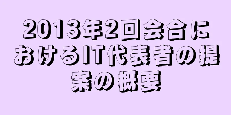 2013年2回会合におけるIT代表者の提案の概要