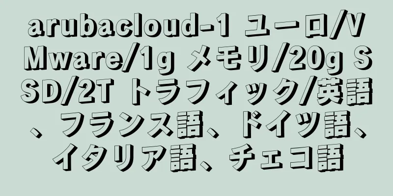 arubacloud-1 ユーロ/VMware/1g メモリ/20g SSD/2T トラフィック/英語、フランス語、ドイツ語、イタリア語、チェコ語