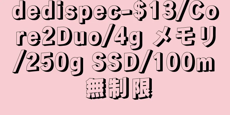 dedispec-$13/Core2Duo/4g メモリ/250g SSD/100m 無制限