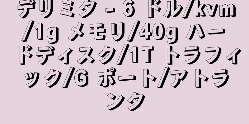 デリミタ - 6 ドル/kvm/1g メモリ/40g ハードディスク/1T トラフィック/G ポート/アトランタ