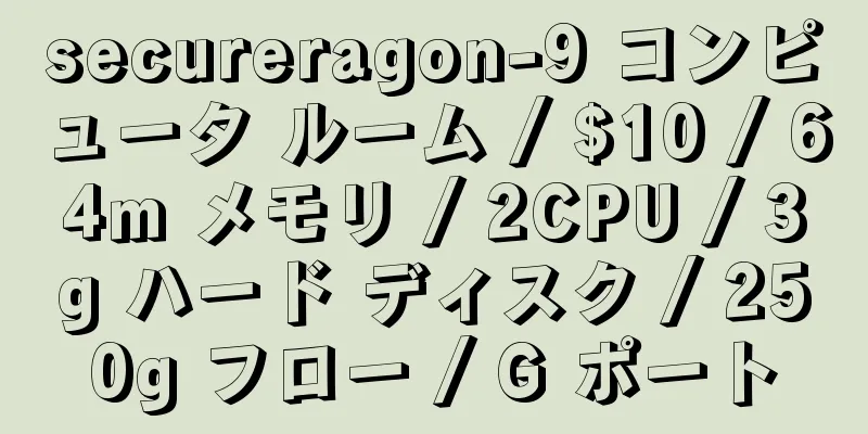 secureragon-9 コンピュータ ルーム / $10 / 64m メモリ / 2CPU / 3g ハード ディスク / 250g フロー / G ポート