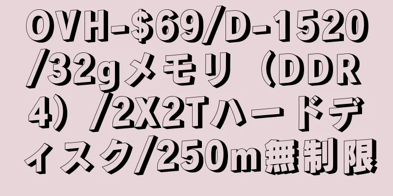 OVH-$69/D-1520/32gメモリ（DDR4）/2X2Tハードディスク/250m無制限