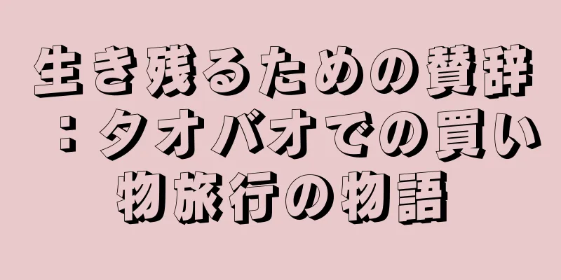 生き残るための賛辞：タオバオでの買い物旅行の物語