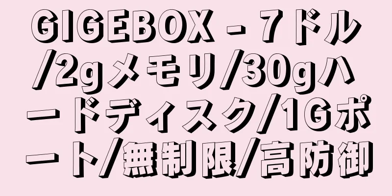 GIGEBOX - 7ドル/2gメモリ/30gハードディスク/1Gポート/無制限/高防御