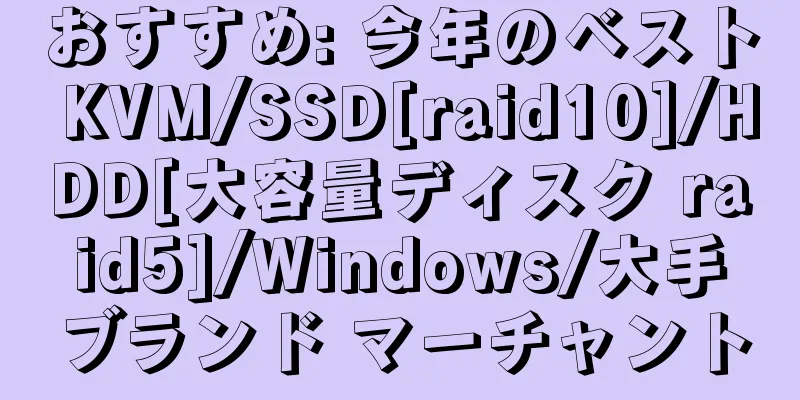 おすすめ: 今年のベスト KVM/SSD[raid10]/HDD[大容量ディスク raid5]/Windows/大手ブランド マーチャント