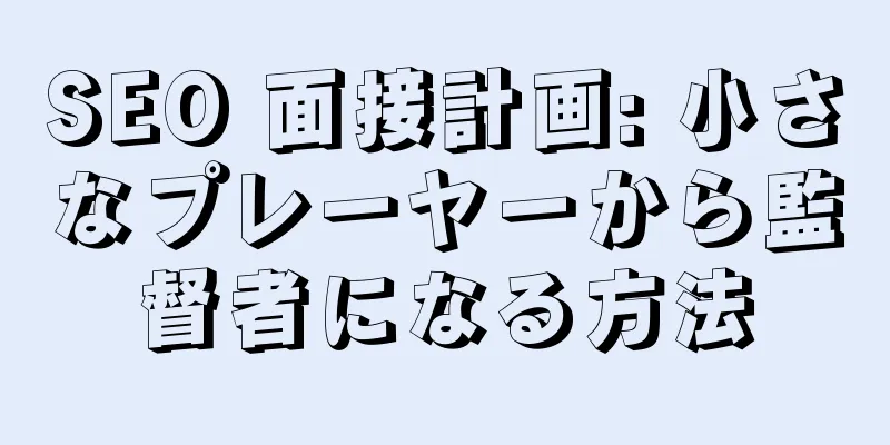 SEO 面接計画: 小さなプレーヤーから監督者になる方法