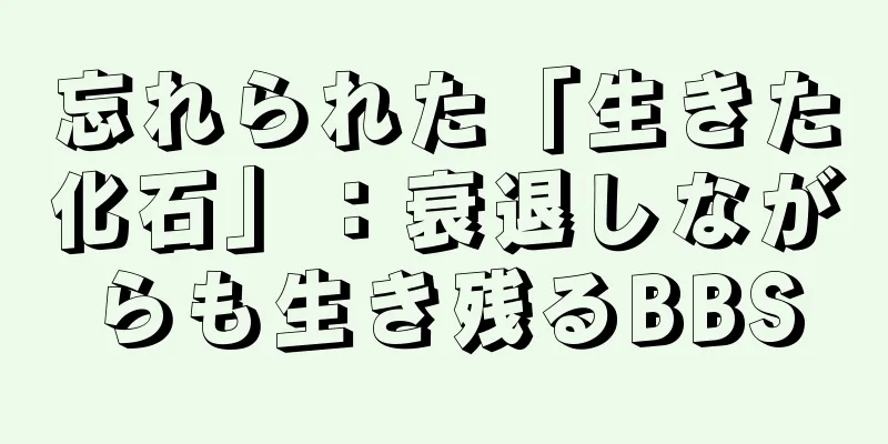 忘れられた「生きた化石」：衰退しながらも生き残るBBS