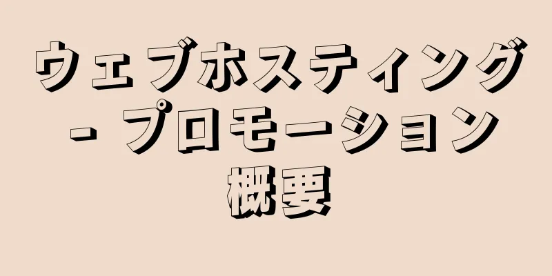 ウェブホスティング - プロモーション概要