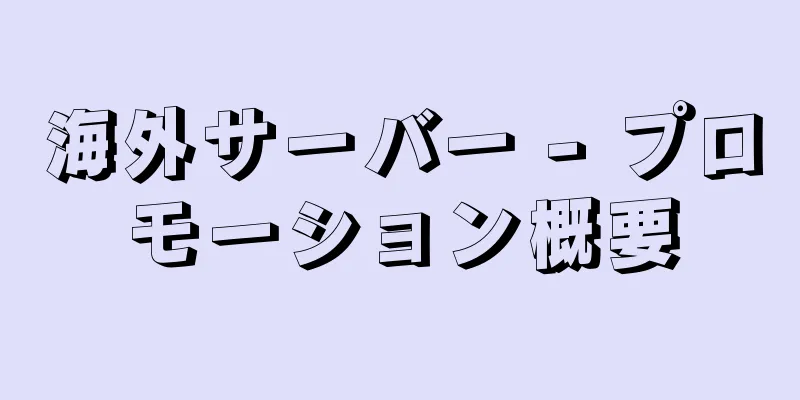 海外サーバー - プロモーション概要