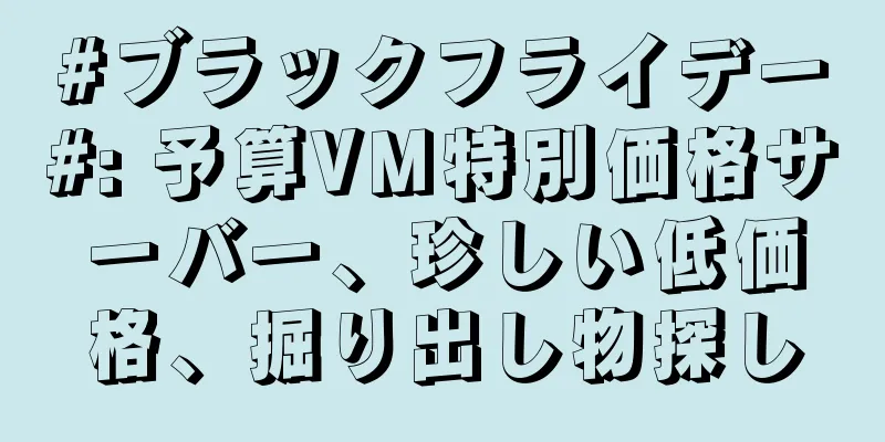 #ブラックフライデー#: 予算VM特別価格サーバー、珍しい低価格、掘り出し物探し
