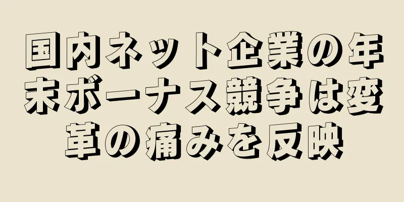 国内ネット企業の年末ボーナス競争は変革の痛みを反映