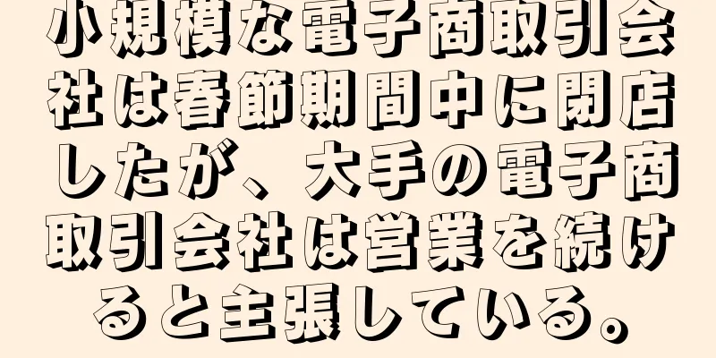 小規模な電子商取引会社は春節期間中に閉店したが、大手の電子商取引会社は営業を続けると主張している。