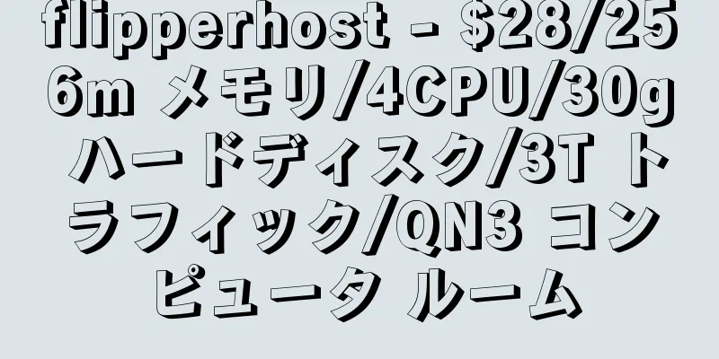 flipperhost - $28/256m メモリ/4CPU/30g ハードディスク/3T トラフィック/QN3 コンピュータ ルーム