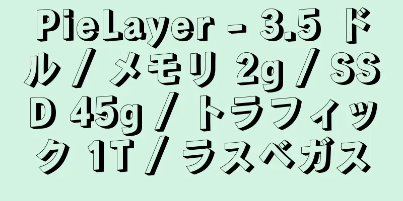 PieLayer - 3.5 ドル / メモリ 2g / SSD 45g / トラフィック 1T / ラスベガス