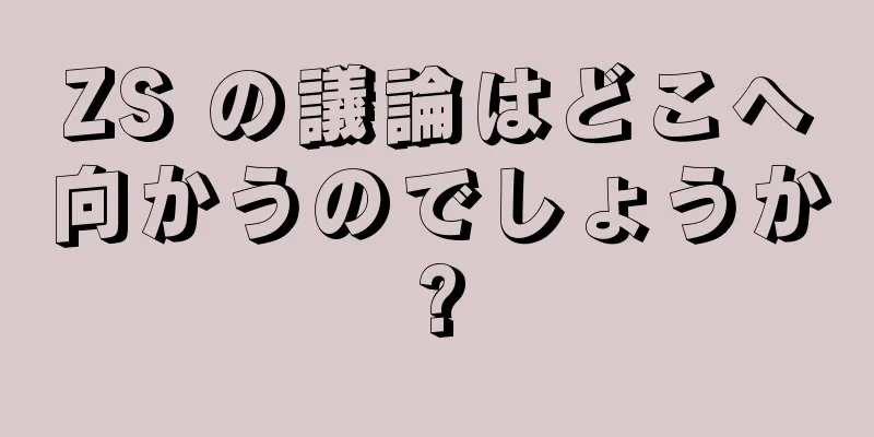 ZS の議論はどこへ向かうのでしょうか?