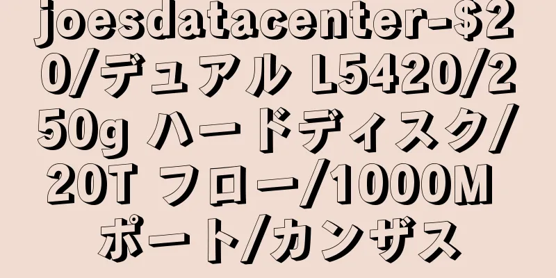 joesdatacenter-$20/デュアル L5420/250g ハードディスク/20T フロー/1000M ポート/カンザス