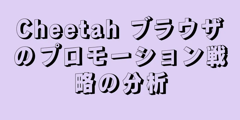 Cheetah ブラウザのプロモーション戦略の分析