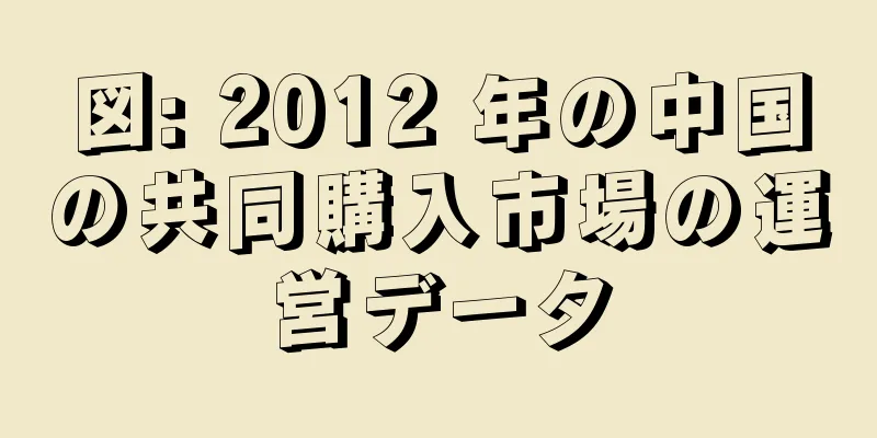 図: 2012 年の中国の共同購入市場の運営データ