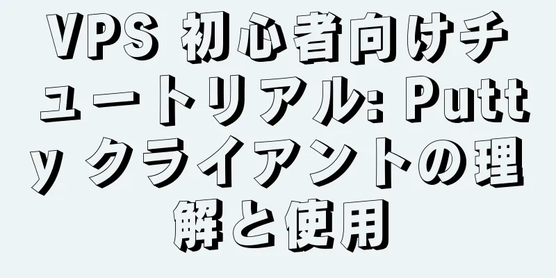 VPS 初心者向けチュートリアル: Putty クライアントの理解と使用