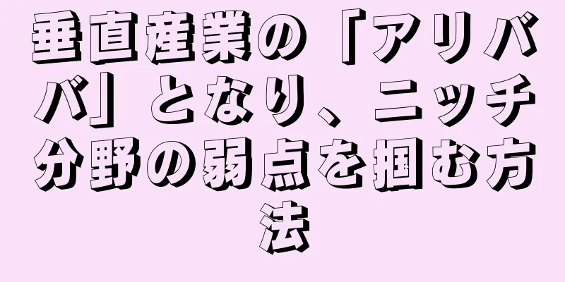 垂直産業の「アリババ」となり、ニッチ分野の弱点を掴む方法