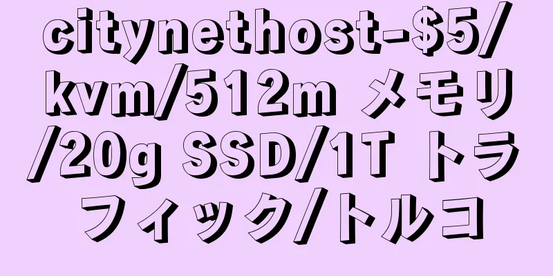 citynethost-$5/kvm/512m メモリ/20g SSD/1T トラフィック/トルコ