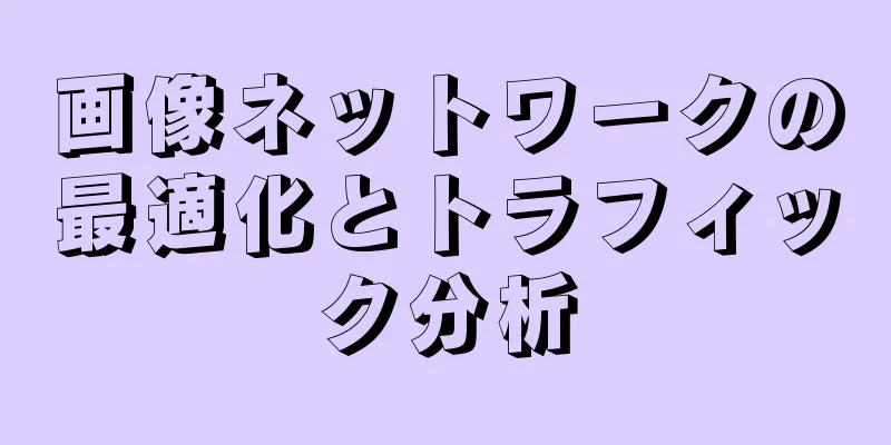 画像ネットワークの最適化とトラフィック分析