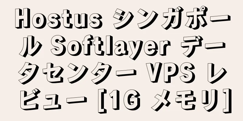 Hostus シンガポール Softlayer データセンター VPS レビュー [1G メモリ]