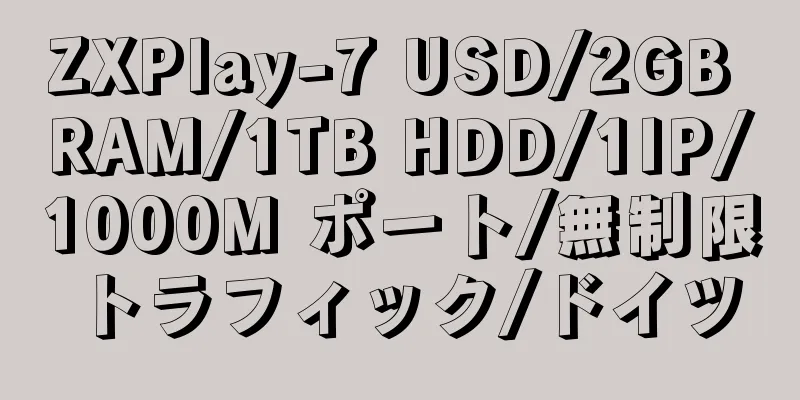 ZXPlay-7 USD/2GB RAM/1TB HDD/1IP/1000M ポート/無制限トラフィック/ドイツ