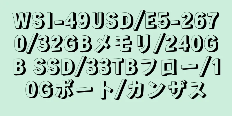 WSI-49USD/E5-2670/32GBメモリ/240GB SSD/33TBフロー/10Gポート/カンザス